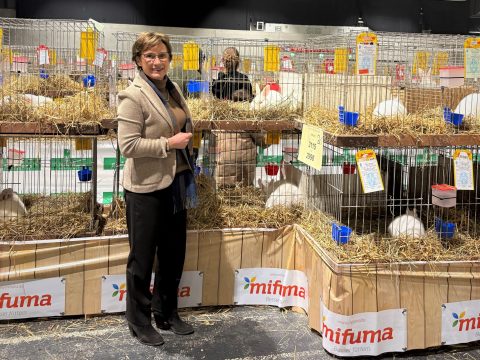 2026-01-11 Kleintierschau Offenburg