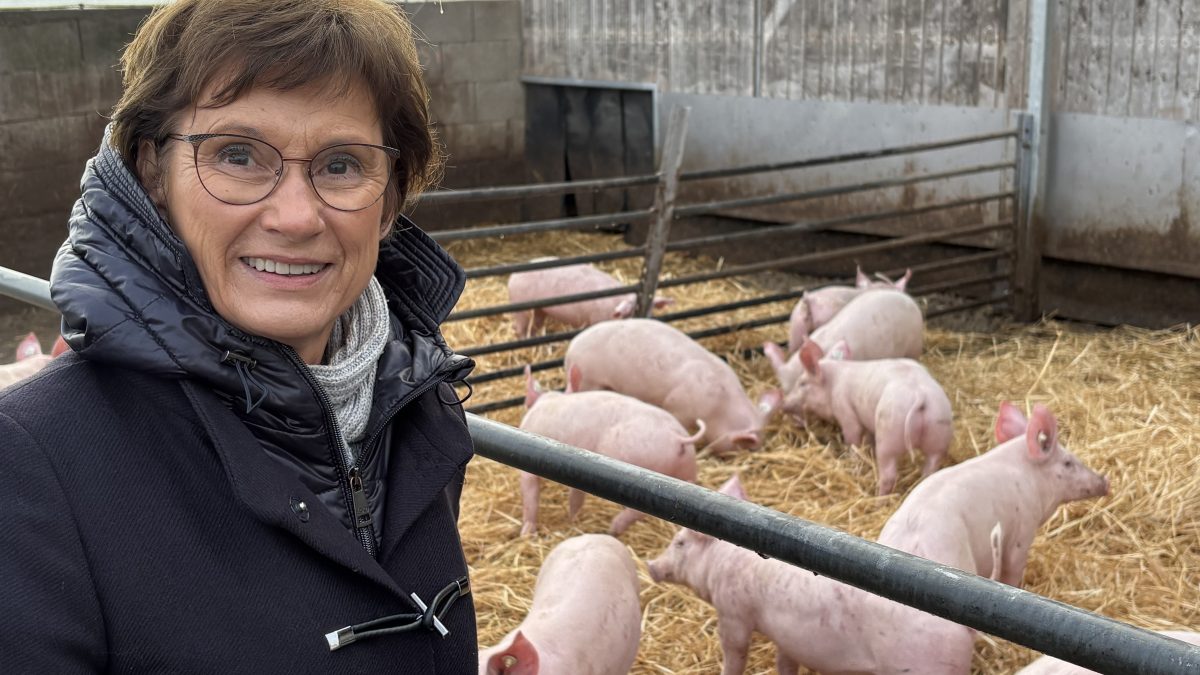 2026-01-30 Auf dem Seehof in Hemmingen