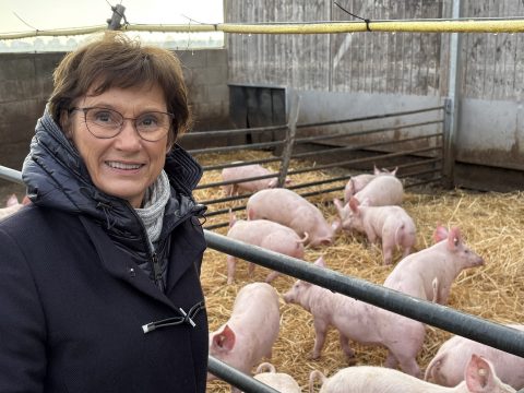 2026-01-30 Auf dem Seehof in Hemmingen